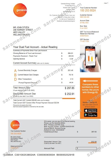 New Zealand Genesis Gas utility bill template in Word and PDF format, 3 pages 3